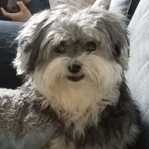 Meet your Posher, Natalie